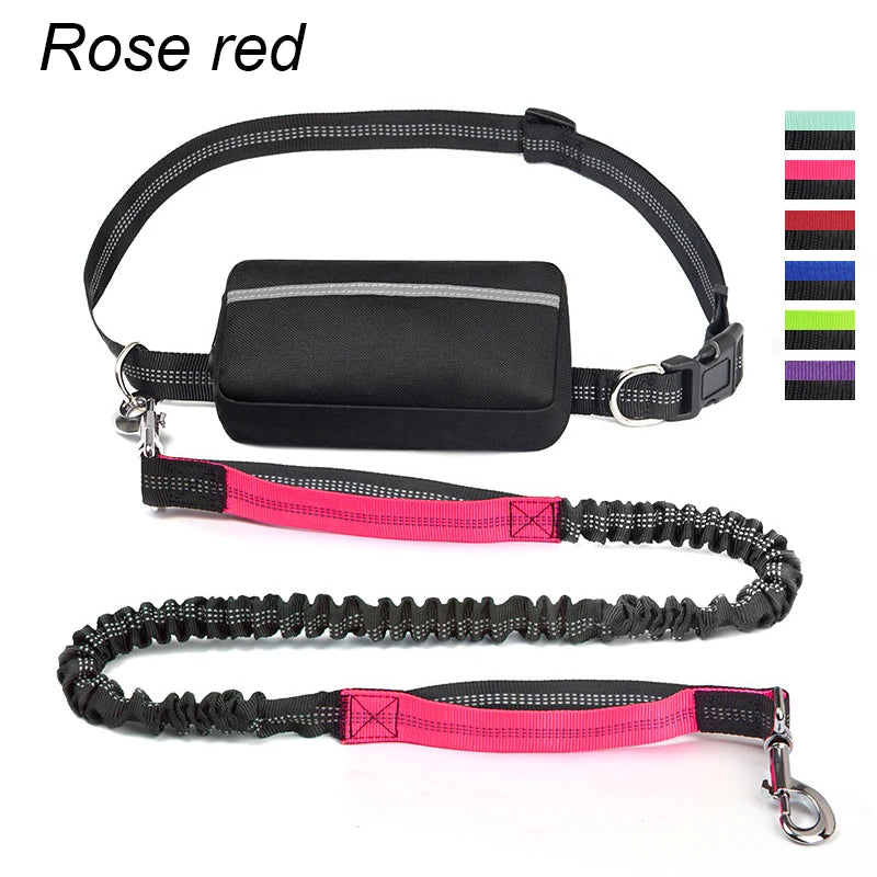 Multifunctional Sports Waist Bag with Hands-Free Dog Leash