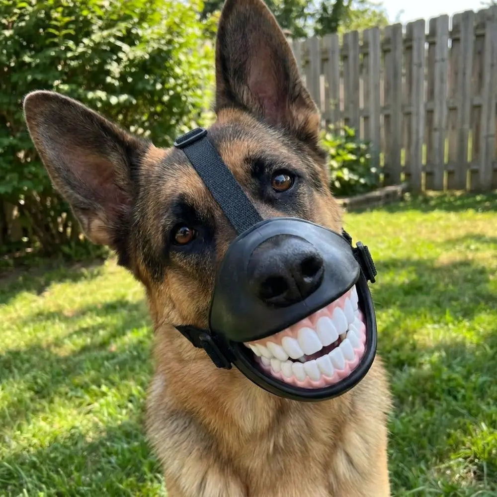 Novelty Teeth Costume Prop with Adjustable Straps for Medium & Large Dogs