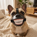 Novelty Teeth Costume Prop with Adjustable Straps for Medium & Large Dogs