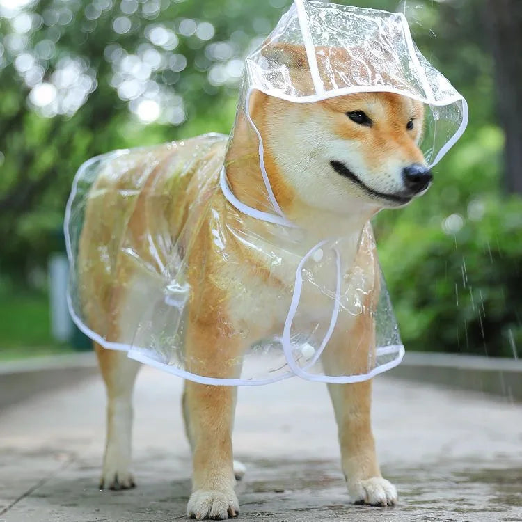 Impermeable para cachorros – Mono impermeable para perros y gatos pequeños y medianos