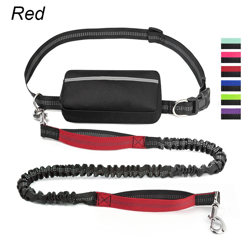 Multifunctional Sports Waist Bag with Hands-Free Dog Leash