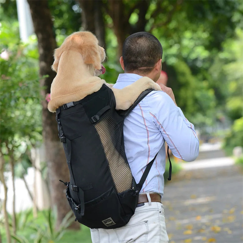 Bolsa de viaje transpirable para perros pequeños y medianos