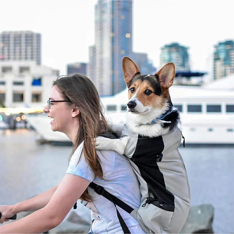 Bolsa de viaje transpirable para perros pequeños y medianos